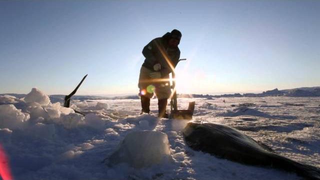 Inuit culture in greenland Inuit culture in greenland