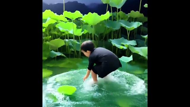 Cute baby catching frog#cutebaby#funny#vlog#parenting Cute baby catching frog#cutebaby#funny#vlog#parenting