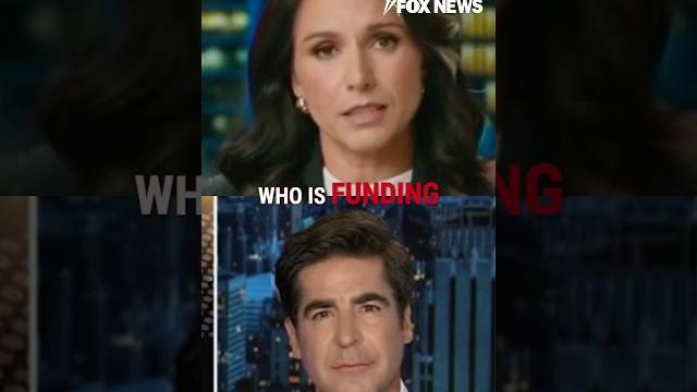 Gabbard: dems are insulting americans #shorts #foxnews #news #usa #fox #trump #riots #protests Gabbard: dems are insulting americans #shorts #foxnews #news #usa #fox #trump #riots #protests