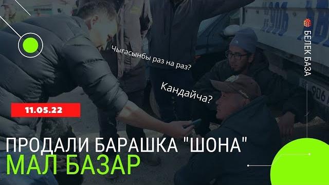 Мал базар/каракол/кыргызстан Мал базар/каракол/кыргызстан