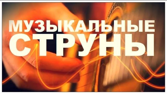 Галилео. музыкальные струны Галилео. музыкальные струны