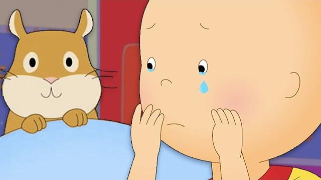Caillou loses a friend | caillou cartoon Caillou loses a friend | caillou cartoon