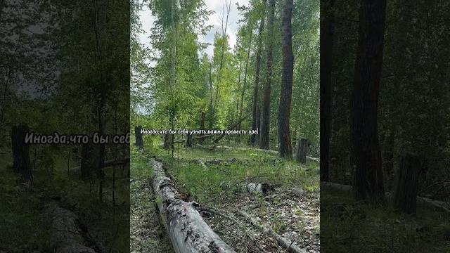 #природа #nature #медитация #цитаты #shortvideo #shorts #music #short #tiktok #видео #музыка #цитата #природа #nature #медитация #цитаты #shortvideo #shorts #music #short #tiktok #видео #музыка #цитата