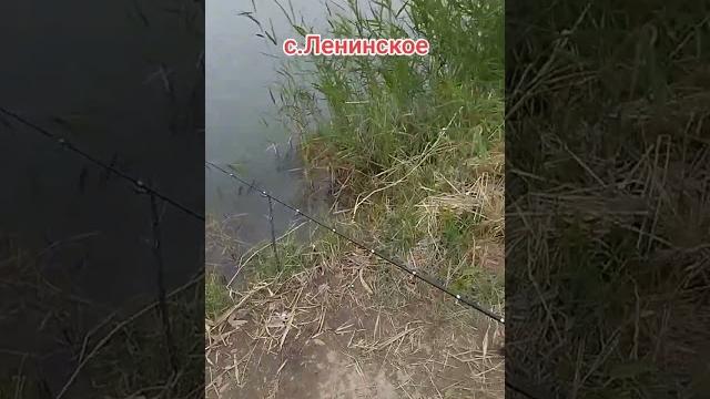 Рыбалка в бишкеке Рыбалка в бишкеке