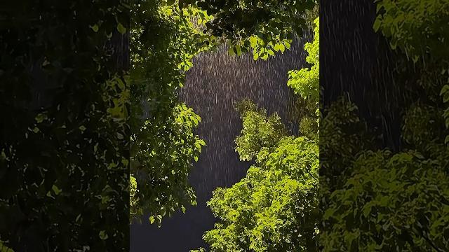 #rainsound #rainnight #rainsoundsforsleeping #rainsound #rainnight #rainsoundsforsleeping