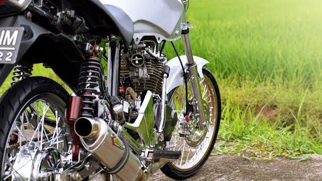 Modif tiger silver queen | vk #19 Modif tiger silver queen | vk #19