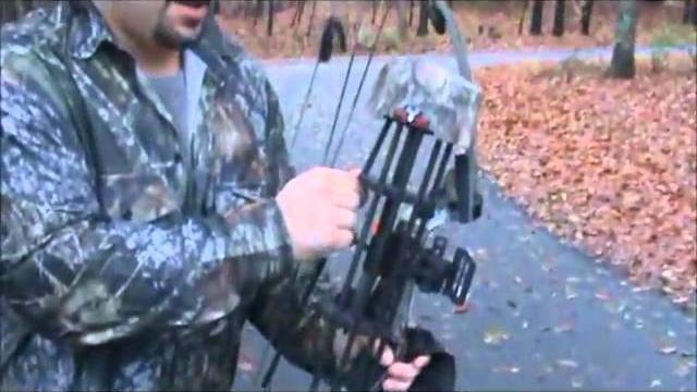 Bj's deer movie Bj's deer movie