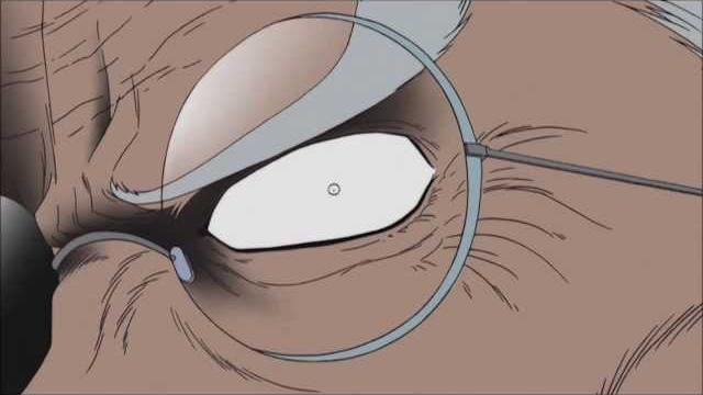 One piece - everybody loves crocus One piece - everybody loves crocus