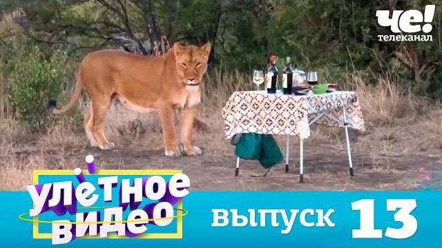 Улетное видео | выпуск 13 Улетное видео | выпуск 13