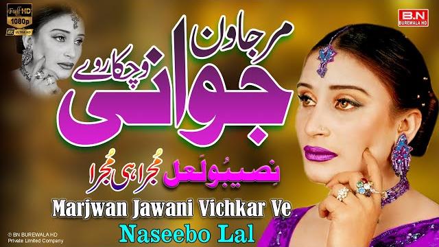 Marjwan jawani vichkar ve | naseebo lal | new mujra danic song 2025 | official music video Marjwan jawani vichkar ve | naseebo lal | new mujra danic song 2025 | official music video
