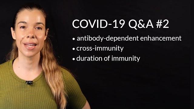 Covid-19 q&a #2 - antibody-dependent enhancement, cross-immunity, immunity duration & more Covid-19 q&a #2 - antibody-dependent enhancement, cross-immunity, immunity duration & more
