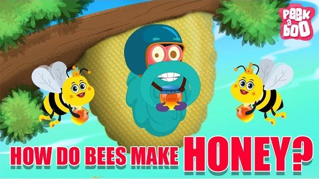 How do bees make honey? - the dr. binocs show | best learning videos for kids | peekaboo kidz How do bees make honey? - the dr. binocs show | best learning videos for kids | peekaboo kidz