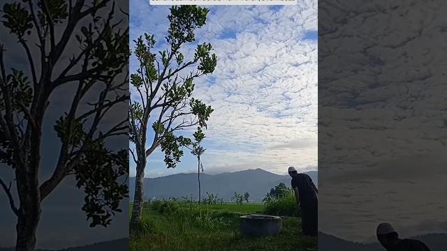 #hariarofah #hariarofah