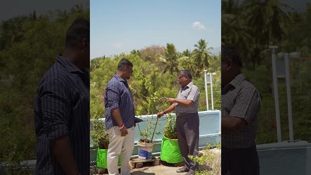 How to reduce soil compaction How to reduce soil compaction