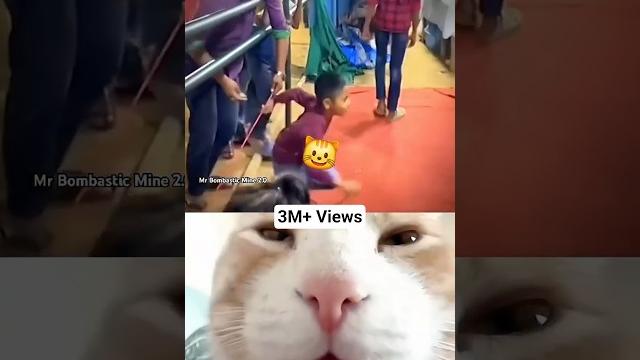 Bombastic iq level #shorts #tiktok #cat #mrboombastic #mishaxramovi titan eren |mrbombasticmine2.0 Bombastic iq level #shorts #tiktok #cat #mrboombastic #mishaxramovi titan eren |mrbombasticmine2.0