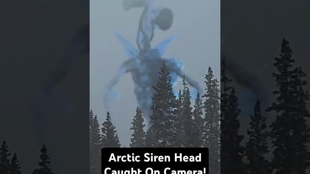 Arctic siren head caught on camera! Arctic siren head caught on camera!
