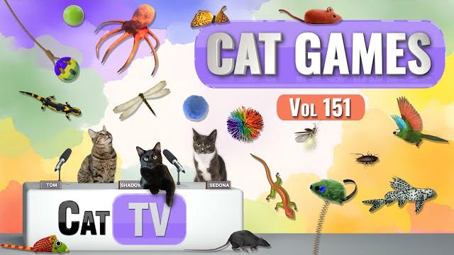 Cat games | ultimate cat tv compilation vol 151 | 8 hours Cat games | ultimate cat tv compilation vol 151 | 8 hours