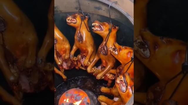 Korean street food. fried dog. #streetfood #korea #japan #china #thailand #2023 #dog #dogs #shorts Korean street food. fried dog. #streetfood #korea #japan #china #thailand #2023 #dog #dogs #shorts