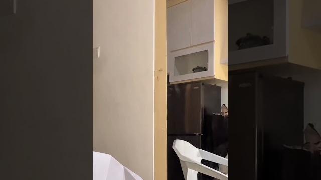 Shella becca live tiktok part 6 #btrrachel #btr #rachel #rachelvenya #livetiktok #live #tiktok Shella becca live tiktok part 6 #btrrachel #btr #rachel #rachelvenya #livetiktok #live #tiktok