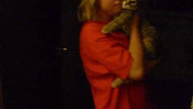 Chloes cat claria Chloes cat claria