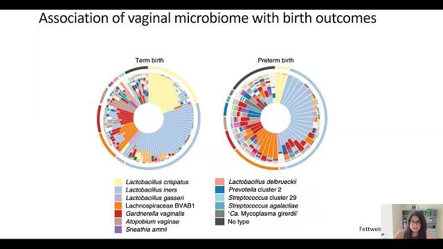 Vaginal microbiome and immunity Vaginal microbiome and immunity