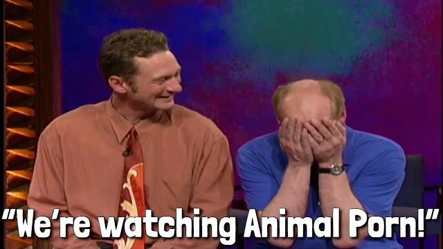 “we’re watching animal porn!” - whose line is it anyway? “we’re watching animal porn!” - whose line is it anyway?