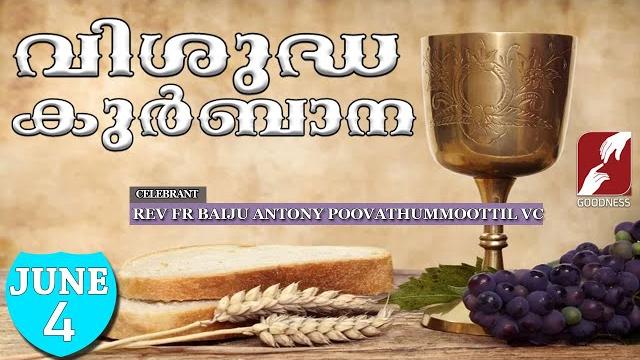 Holy mass live @ 6 am, 4 june 2025|fr baiju antony vc|malayalam qurbana|today mass|goodness tv Holy mass live @ 6 am, 4 june 2025|fr baiju antony vc|malayalam qurbana|today mass|goodness tv