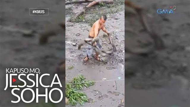 Kapuso mo, jessica soho: lalaki, hinuli ang dalawang malalaking sawa gamit ang kanyang mga kamay! Kapuso mo, jessica soho: lalaki, hinuli ang dalawang malalaking sawa gamit ang kanyang mga kamay!