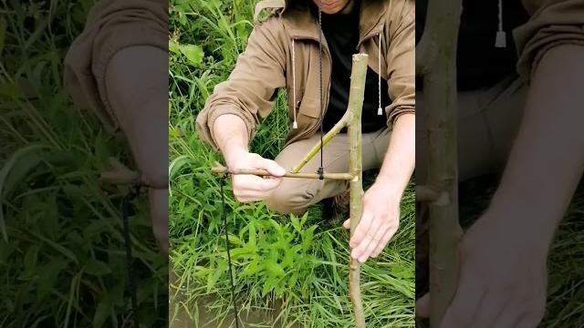 Fish trap #bushcraft #trap #fishing #survival Fish trap #bushcraft #trap #fishing #survival