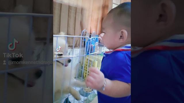 Ken play with kinoy Ken play with kinoy