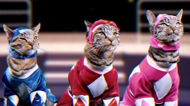 Mighty morphin meower rangers - meowphin time! - episode 1 Mighty morphin meower rangers - meowphin time! - episode 1