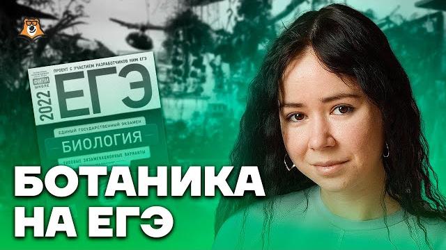 Вся ботаника для егэ по биологии | умскул Вся ботаника для егэ по биологии | умскул