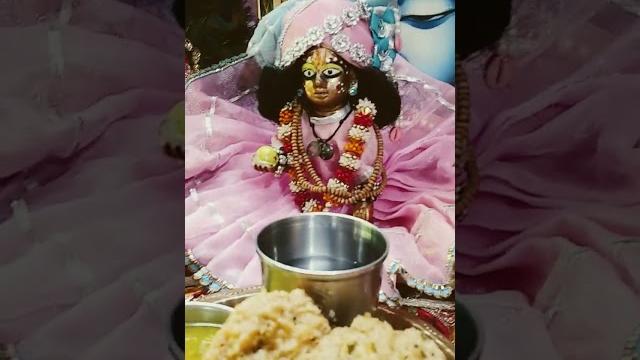 Thakur ji ko sundar vaster#virdavan jarur karna hai #guru ji ne bataya#laddu #bhakti short video Thakur ji ko sundar vaster#virdavan jarur karna hai #guru ji ne bataya#laddu #bhakti short video