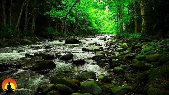 15 minute meditation music, calm music, relax, meditation, stress relief, spa, study, sleep, 3527b 15 minute meditation music, calm music, relax, meditation, stress relief, spa, study, sleep, 3527b
