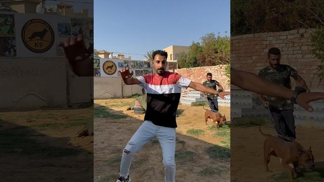 لما تدخل مزرعه تسرق كلب لما تدخل مزرعه تسرق كلب