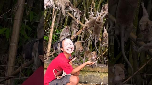 Bego punya temen baru Bego punya temen baru