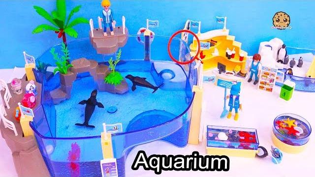Aquarium Aquarium