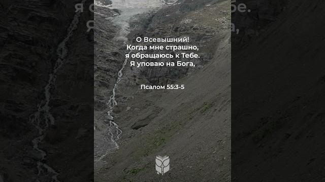Псалом 55, стихи 3-5 #shorts #biblevision Псалом 55, стихи 3-5 #shorts #biblevision