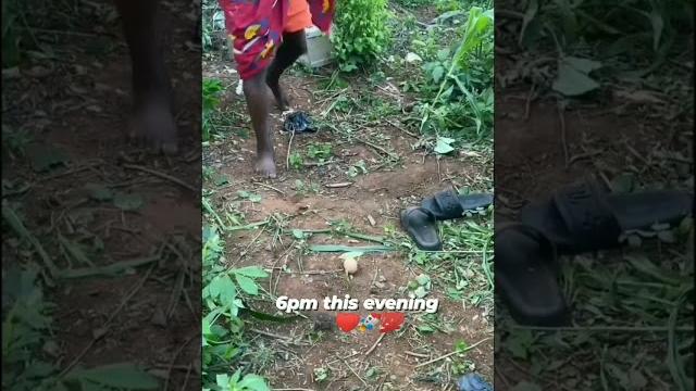 #vokalplus #nigeria #cj #uo #vk #videographer #peterobi #comedy #turkey #reels #spirituality #india #vokalplus #nigeria #cj #uo #vk #videographer #peterobi #comedy #turkey #reels #spirituality #india