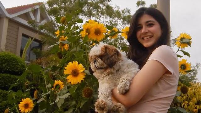 Abdul hannan & rovalio - iraaday (official music video) Abdul hannan & rovalio - iraaday (official music video)