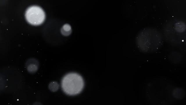 Light leaks & bokeh effect 4/3 || overlap video for wedding & video editing || by sunari vfx Light leaks & bokeh effect 4/3 || overlap video for wedding & video editing || by sunari vfx