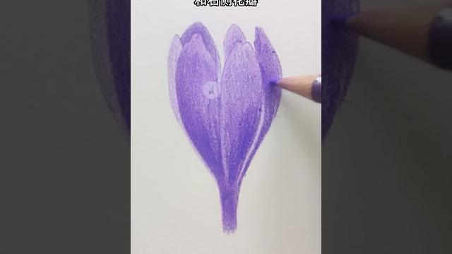【彩鉛教學】彩鉛超詳細講解 紫色花朵的畫法 【彩鉛教學】彩鉛超詳細講解 紫色花朵的畫法