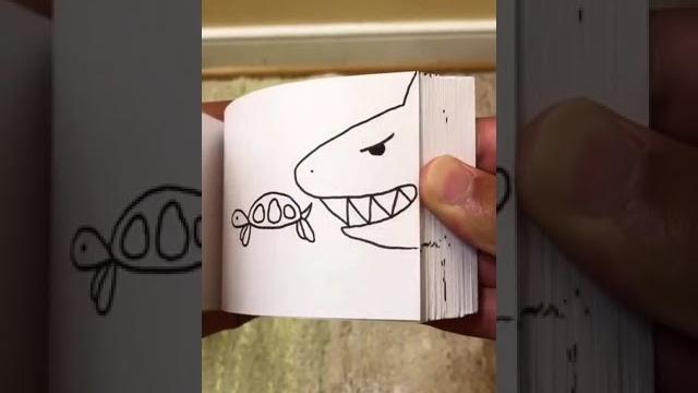 Shark flipbook #shorts Shark flipbook #shorts