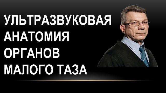 Ультразвуковая анатомия органов малого таза у женщин Ультразвуковая анатомия органов малого таза у женщин