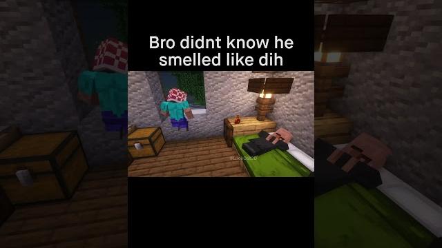 Minecraft meme Minecraft meme