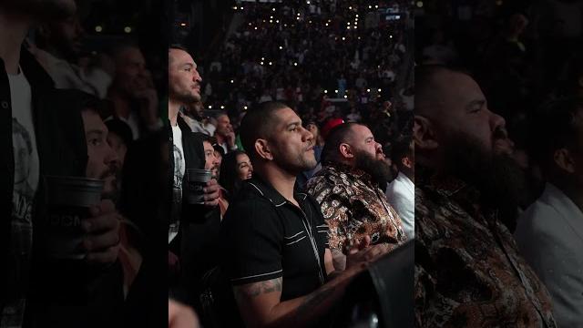 Alex pereira reacting to prochazka vs hill #ufc311 Alex pereira reacting to prochazka vs hill #ufc311