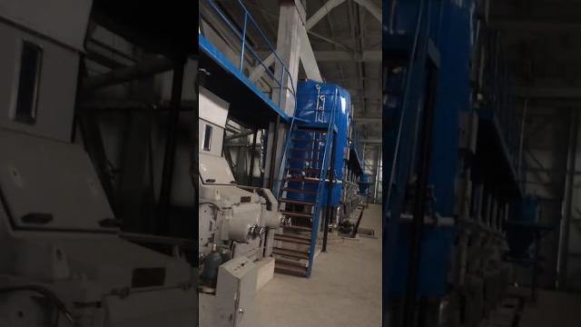 Жмых соевый, подсолнечный, шрот высокобелковый 3 Жмых соевый, подсолнечный, шрот высокобелковый 3
