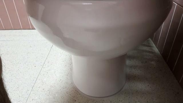 Toilet diarrhea fart Toilet diarrhea fart