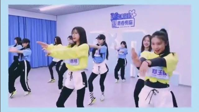羊羊tv里的 ‘戴小妮’春夏的记忆 未曾远去 -梦回长隆 羊羊tv里的 ‘戴小妮’春夏的记忆 未曾远去 -梦回长隆