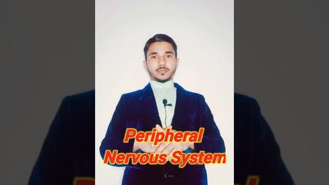 Pns full form #viral #shorts #pns #pns Pns full form #viral #shorts #pns #pns